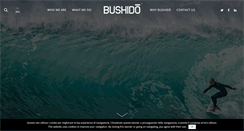 Desktop Screenshot of bushidoconsulting.com